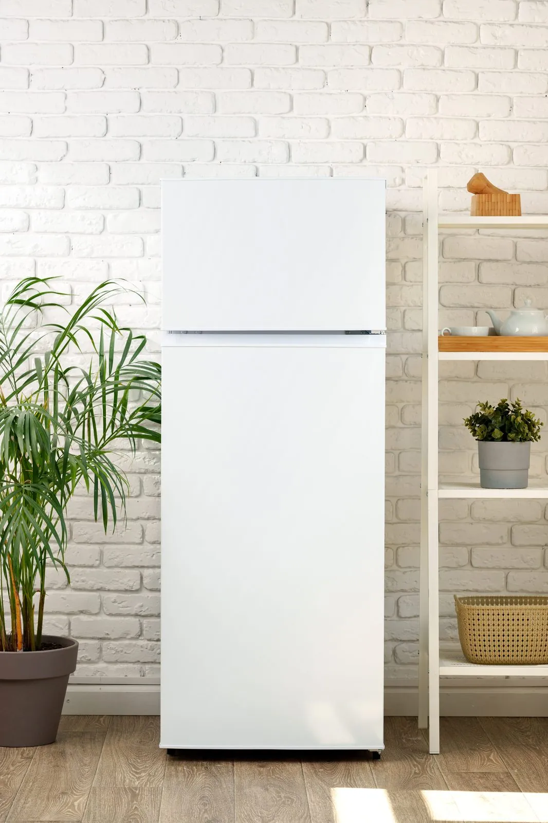 Clean white fridge running quietly after servicing Clean white fridge running quietly after servicing